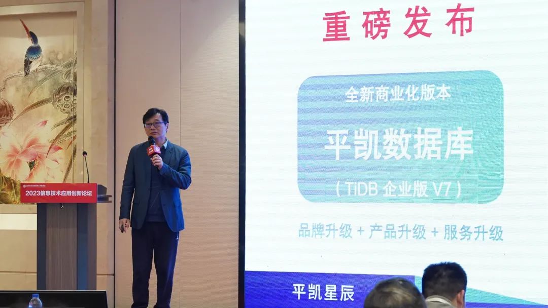平凯星辰首席科学家丁岩